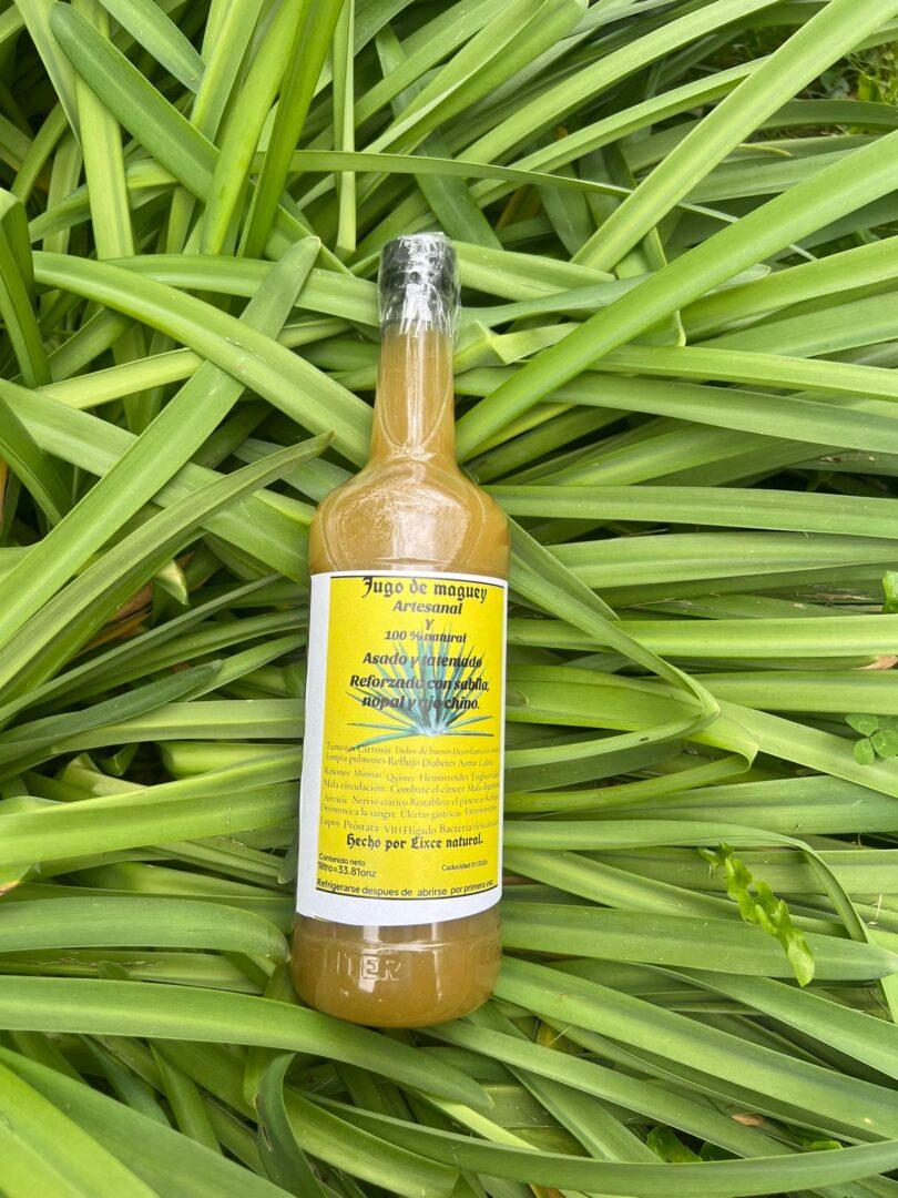 maguey el poderoso reforzado